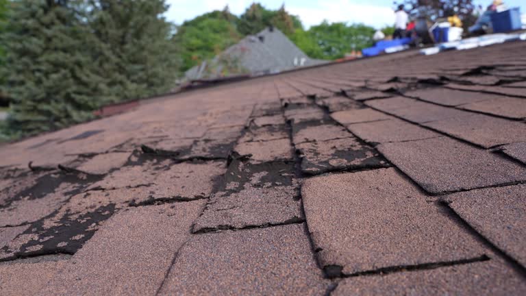 Best Green or Eco-Friendly Roofing Solutions  in Beechwood Trails, OH